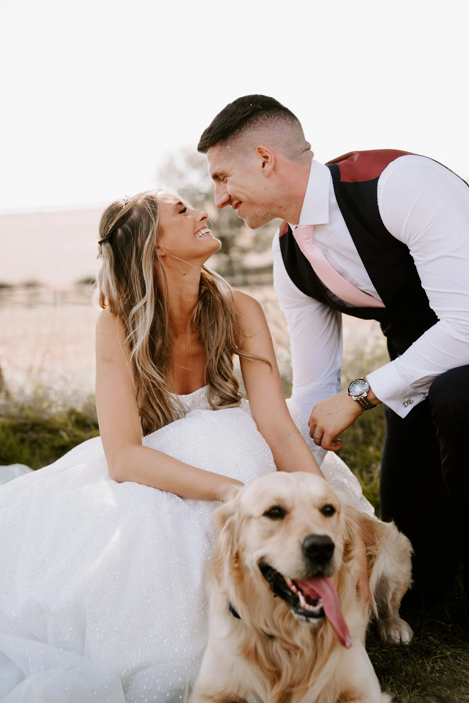 Maria and Dom sitting in a sunlit Devon countryside meadow with their golden retriever wearing a floral collar at Whitemoor Farm