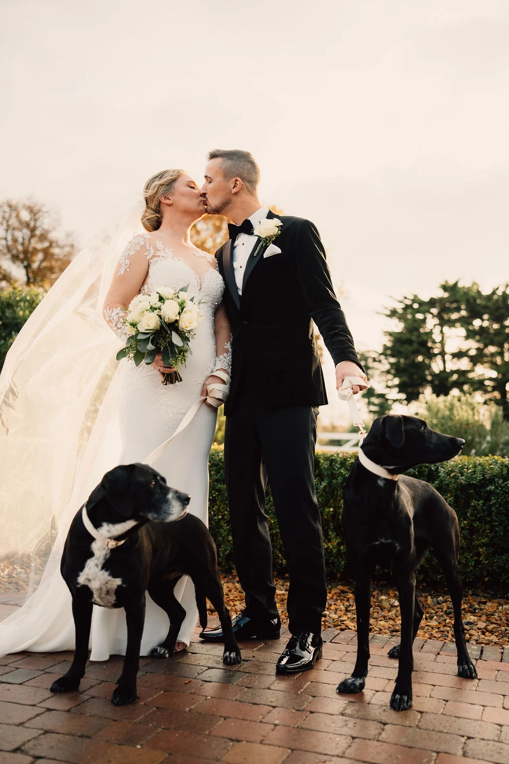 Rosie and Michael sharing a kiss with their dogs beside them at Villiers Barn