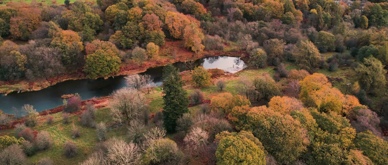 An aerial view of woodland in autumn reds, oranges and yellows with a small pool of water at its edge near The Wild Boar