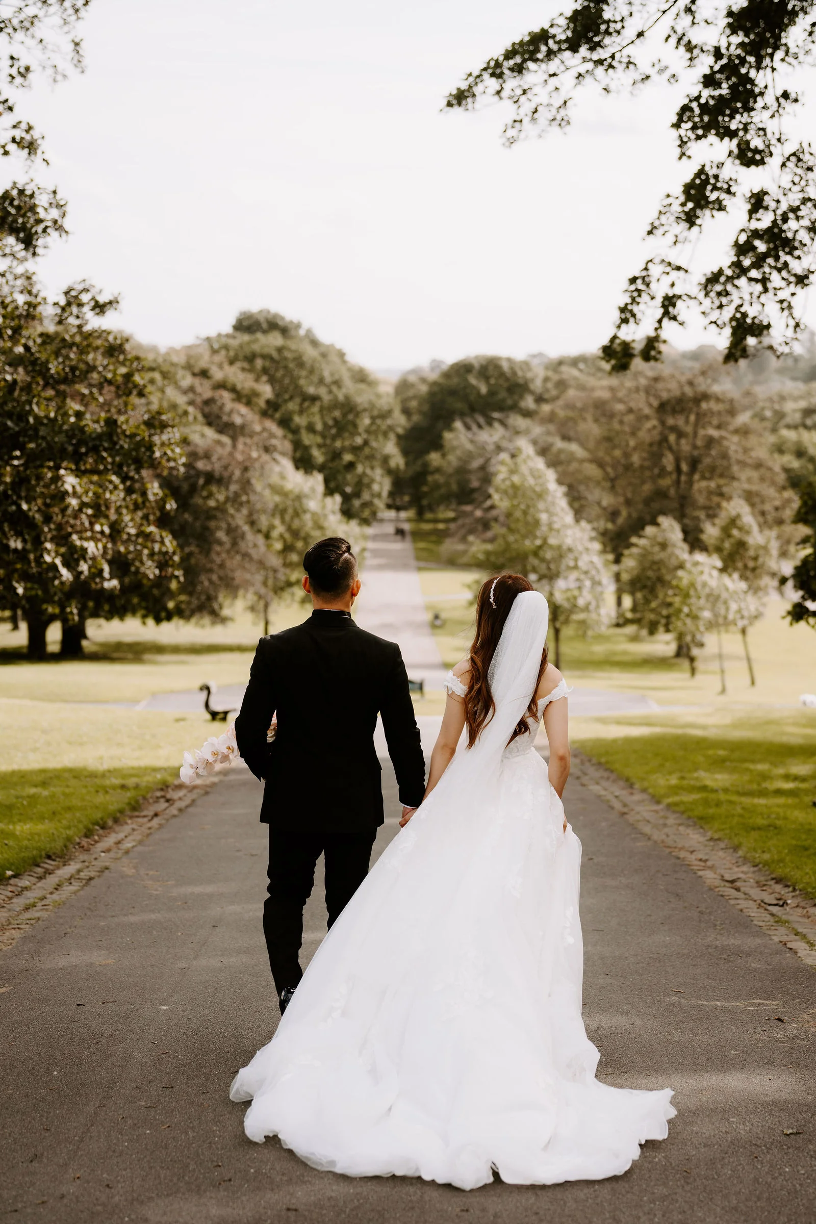 Seen from behind, a bride in a veil and a long train and a groom in black walk hand in hand along a path through parkland with large trees