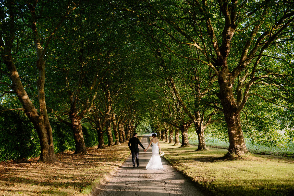 Bride and groom walking hand in hand down an avenue of trees.