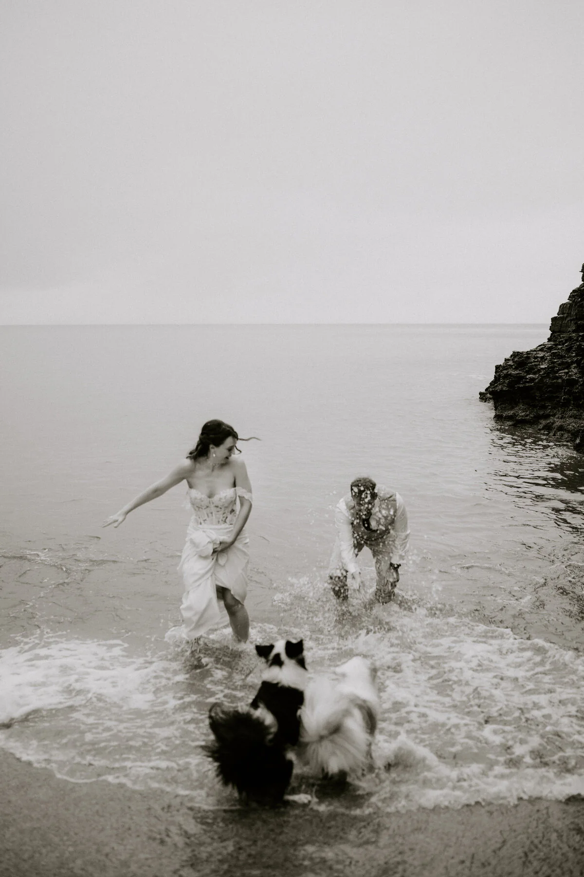 Black and white photograph of a couple splashing in the sea with their border collies.
