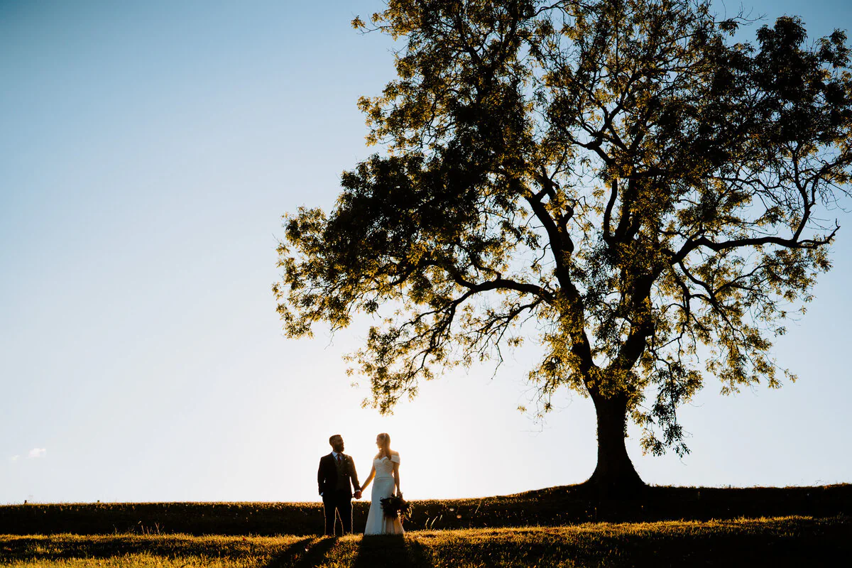 Silhouette of a couple holding hands beneath a large tree at sunset.