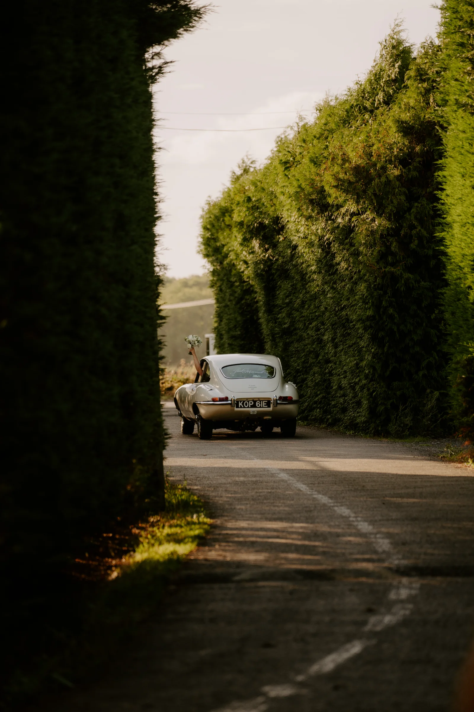 Classic wedding car waiting on a tree-lined driveway at a country house venue.