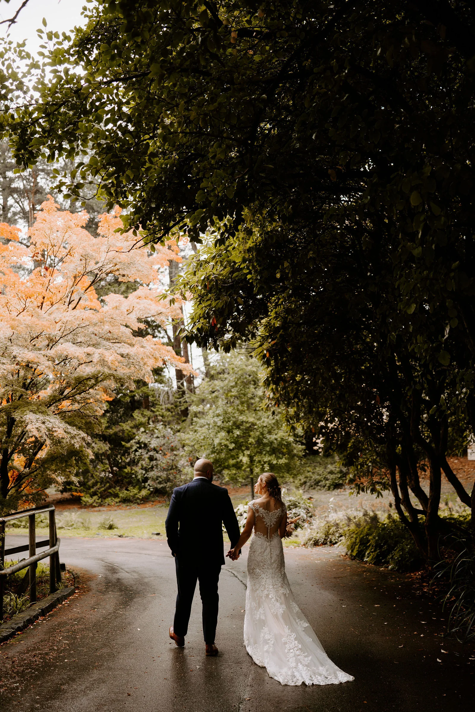 Seen from behind, a couple hold hands and walk along a damp lane beneath large trees and an orange-leaved tree