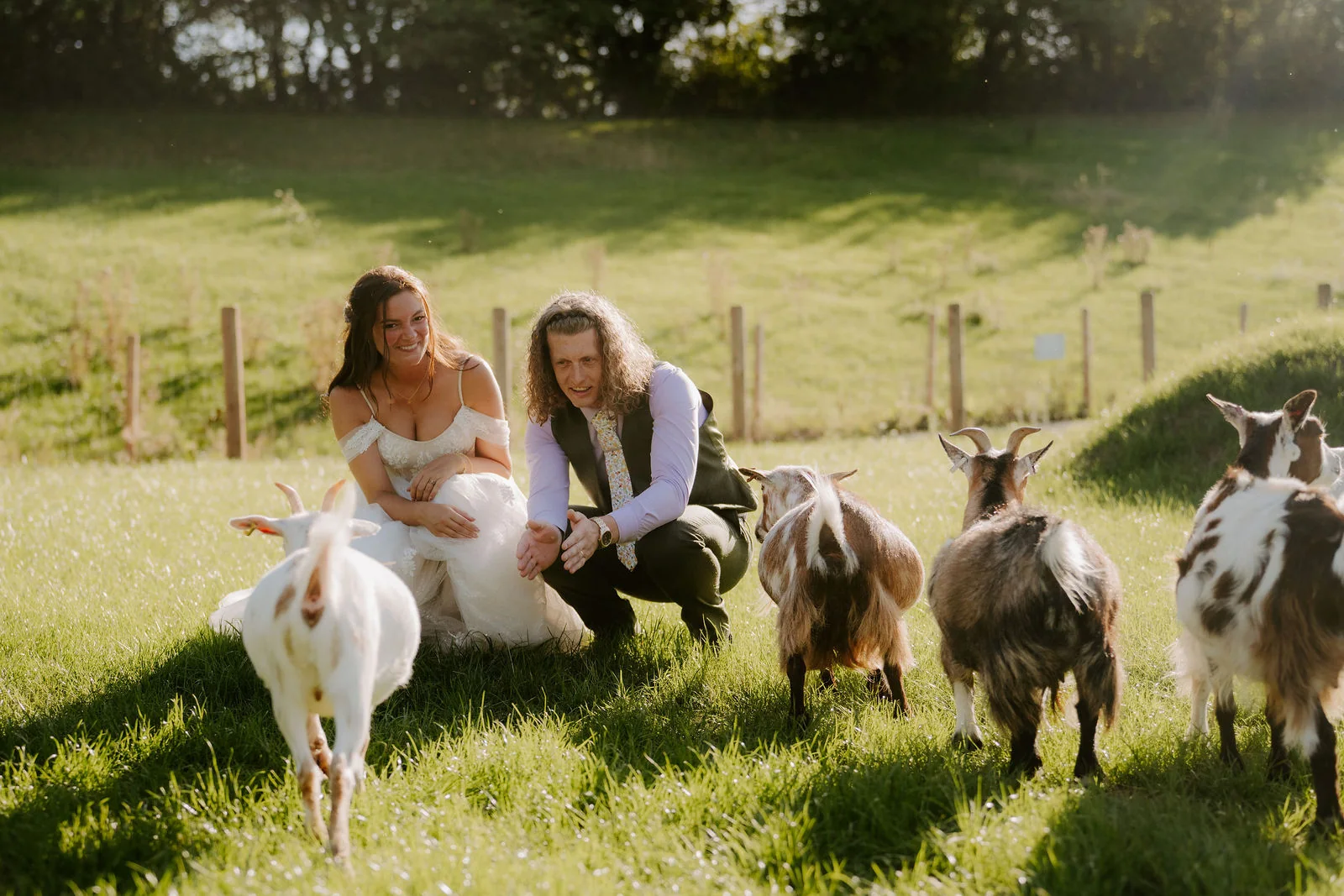 A bride in a gown and a groom crouch on a grassy field beside a fence to meet a herd of small goats, with trees on the slope behind them in low sun