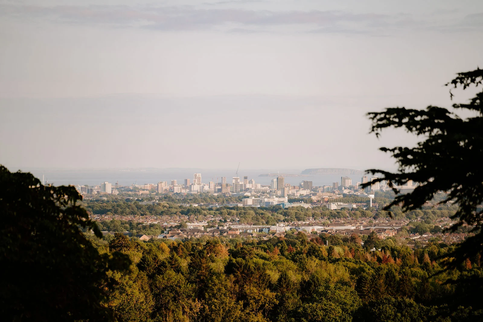 A wide view from the hotel grounds over wooded hills to a city skyline and the sea on the horizon, framed by a dark cedar tree