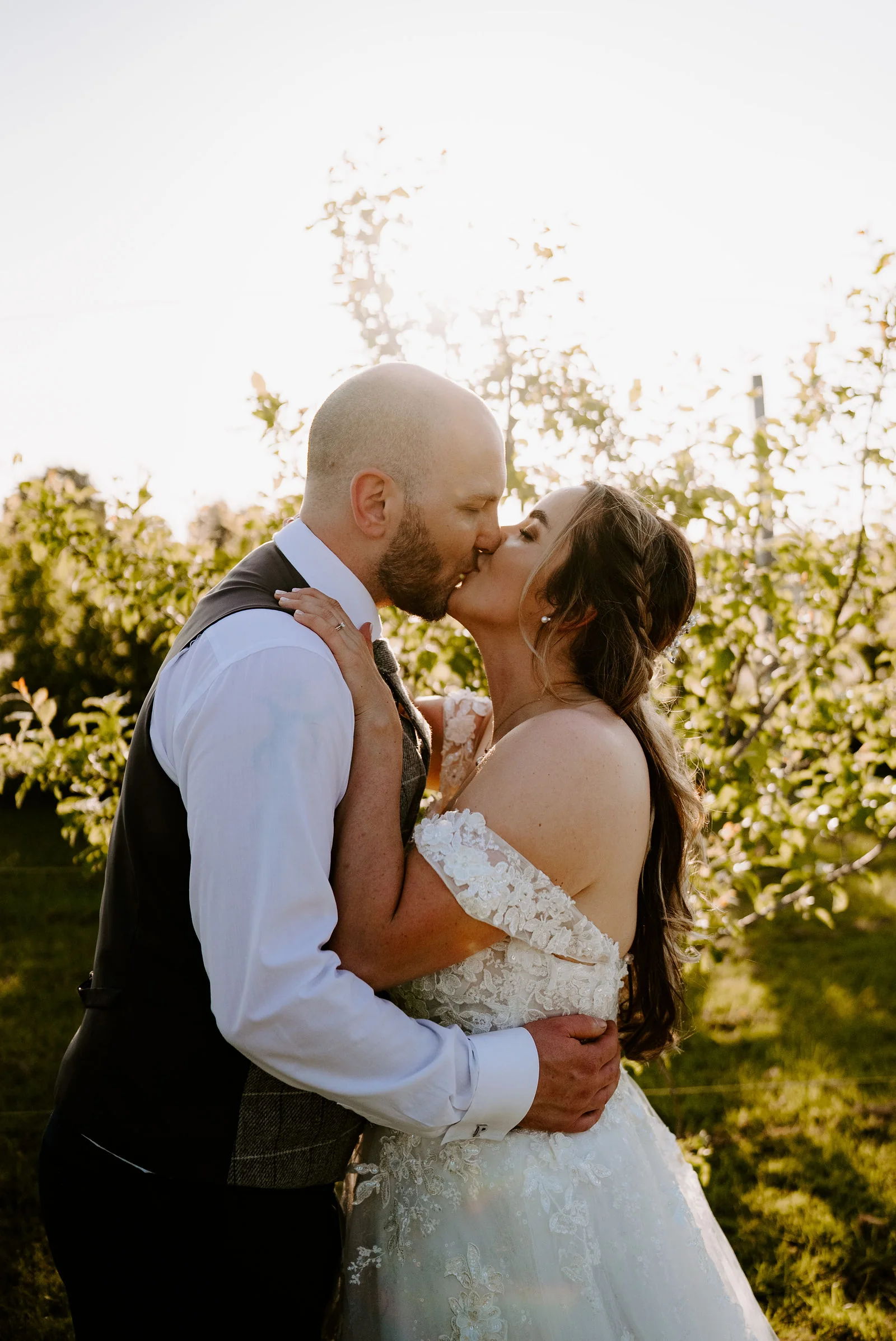 A groom in a grey waistcoat and a bride in an off-the-shoulder lace gown kiss among rows of young apple trees in low golden sun