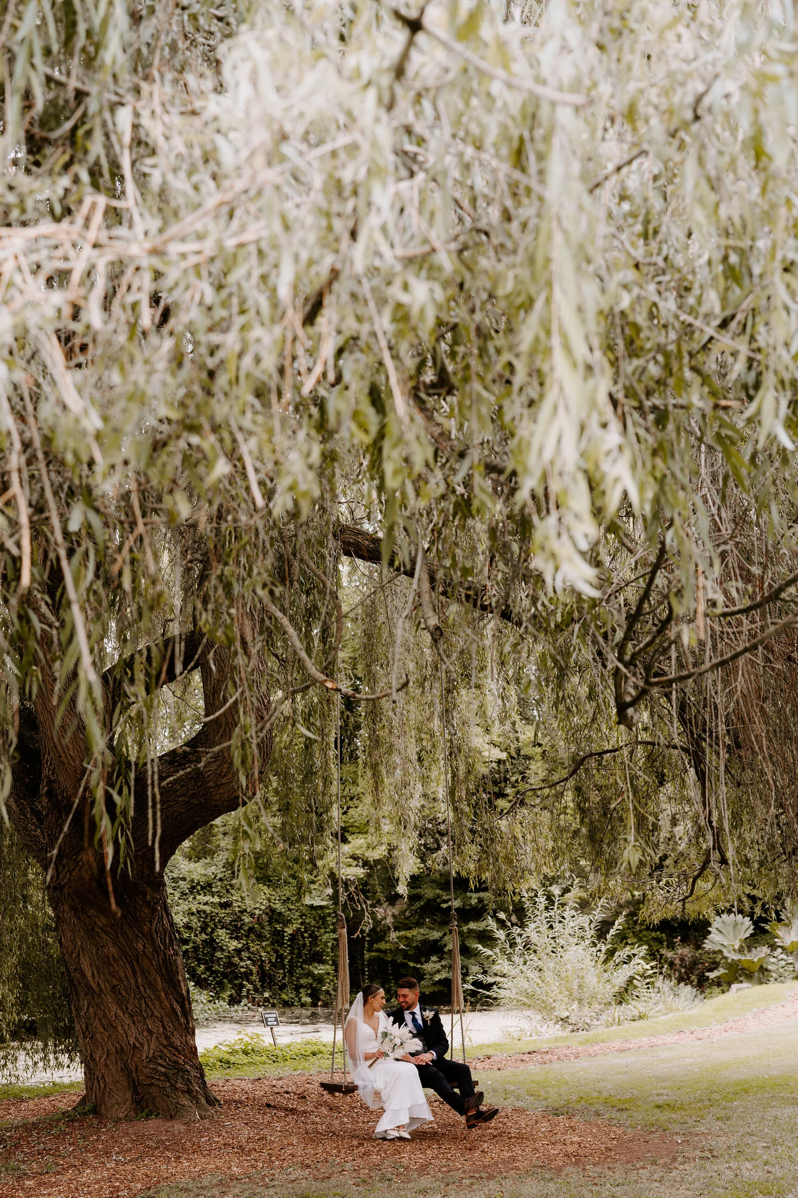 A bride and groom sit together on a swing hung from a huge weeping willow tree, the branches falling around them