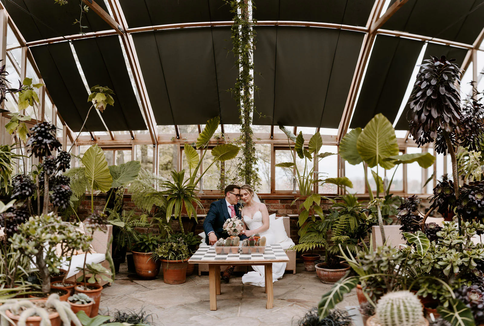 Danielle and Matt sit at a small wooden table in a glasshouse crowded with tall green plants and cacti